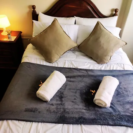 Apartamento Liberdade Royal Direito Braga