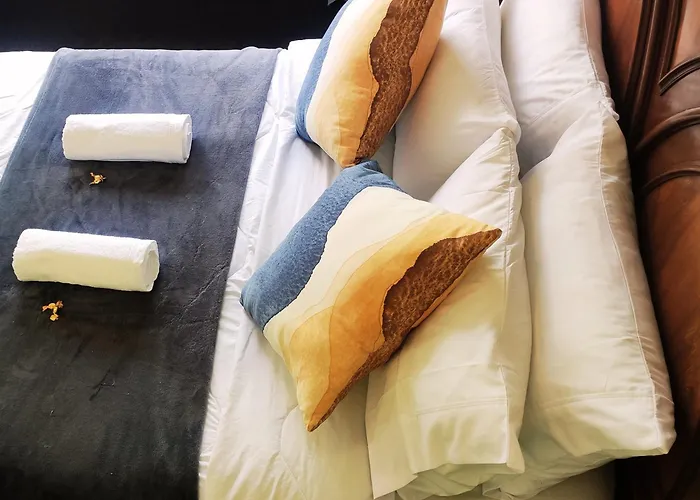 Liberdade Royal Direito Braga